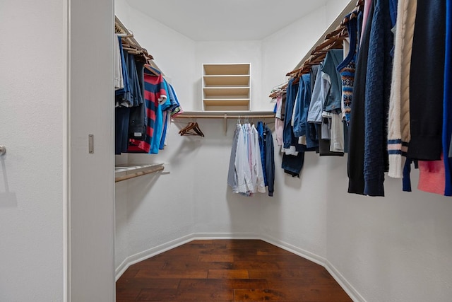 5301 Backtrail Dr, Austin, TX 78731 - walk in closet with wood-type flooring