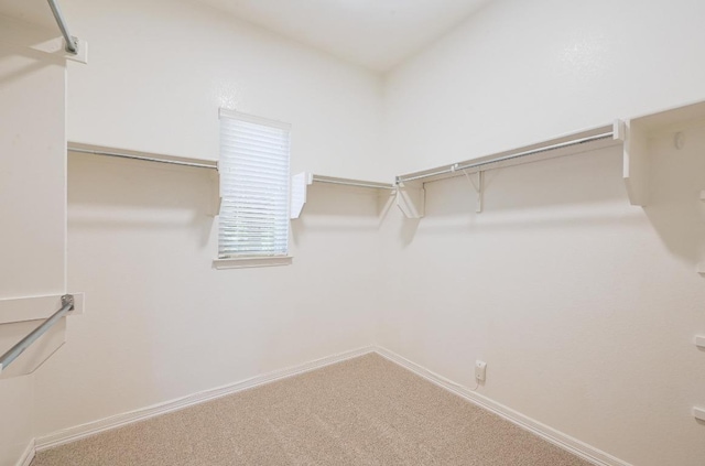 3340 Marcasite Dr, Round Rock, TX 78681 - spacious closet with carpet