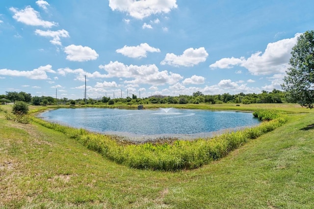 8605 Rock Pigeon Dr, Austin, TX 78729 - photo 34