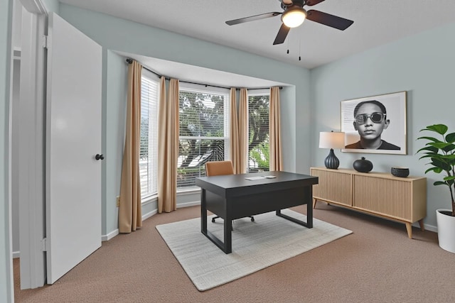1928 Ramona Cir, San Marcos, TX 78666 - office area with carpet and ceiling fan