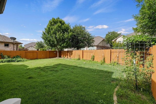 614 Spanish Mustang Dr, Cedar Park, TX 78613 - view of fenced backyard