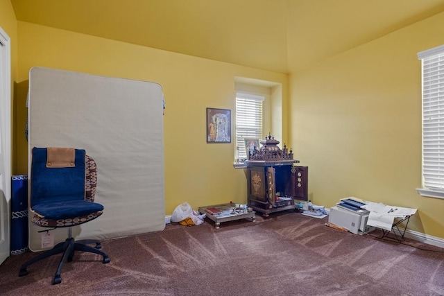 614 Spanish Mustang Dr, Cedar Park, TX 78613 - miscellaneous room with carpet flooring and baseboards