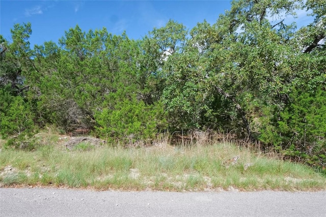 22312 Briarcliff Dr, Briarcliff, TX 78669 - photo 6