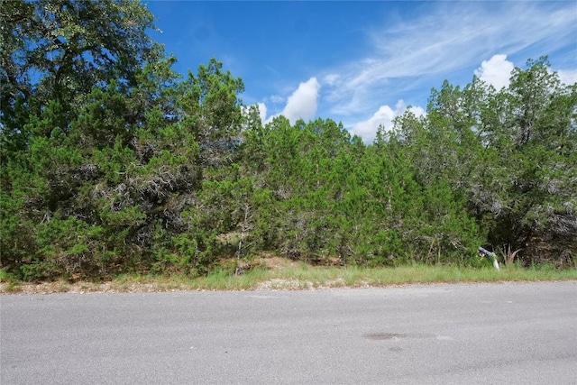 22312 Briarcliff Dr, Briarcliff, TX 78669 - photo 7