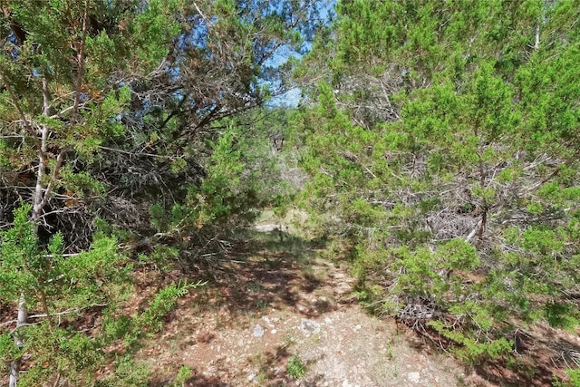 22312 Briarcliff Dr, Briarcliff, TX 78669 - photo 8