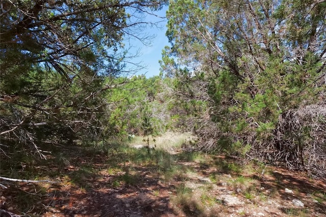 22312 Briarcliff Dr, Briarcliff, TX 78669 - photo 9