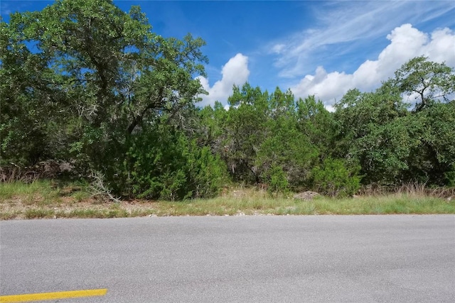 22314 Briarcliff Dr, Briarcliff, TX 78669 - photo 7