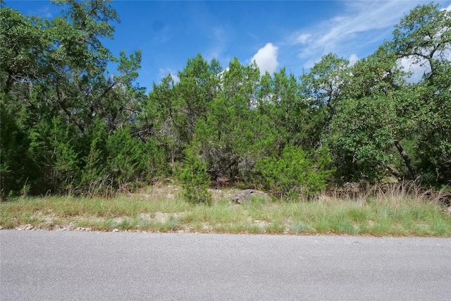 22314 Briarcliff Dr, Briarcliff, TX 78669 - photo 8