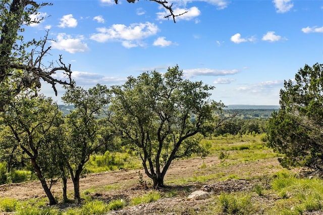 LOT12 Ridgeway Trl, Johnson City, TX 78636 - photo 19