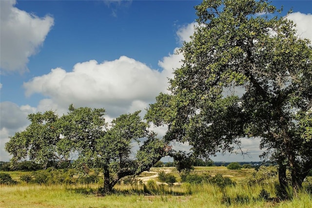 LOT12 Ridgeway Trl, Johnson City, TX 78636 - photo 18