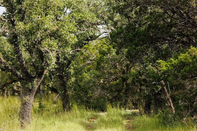 LOT12 Ridgeway Trl, Johnson City, TX 78636 - photo 20