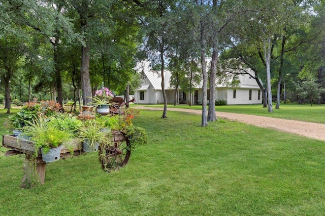 1307 Fm 969, Bastrop, TX 78602 - view of grassy yard