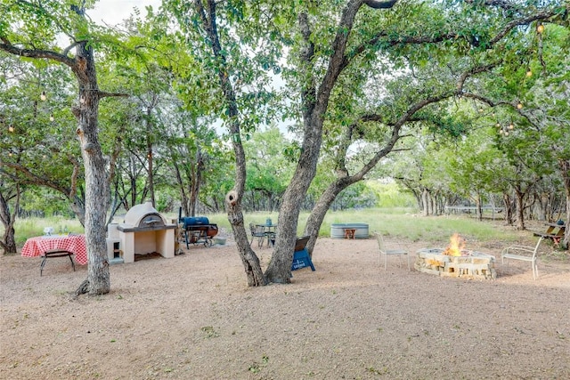 20008 Victoria Chase Rd, Lago Vista, TX 78645 - view of yard with an outdoor fire pit and view of scattered trees
