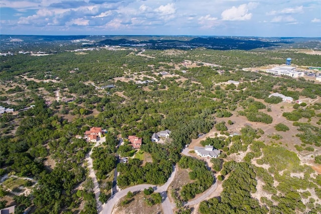 20008 Victoria Chase Rd, Lago Vista, TX 78645 - aerial view of property's location