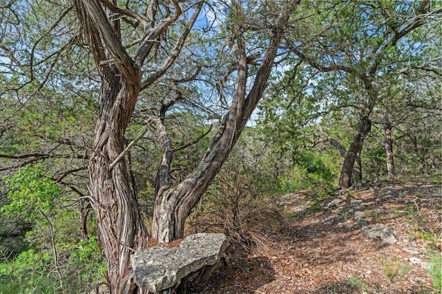 1800 N Rainbow Ranch Rd, Wimberley, TX 78676 - view of wooded area