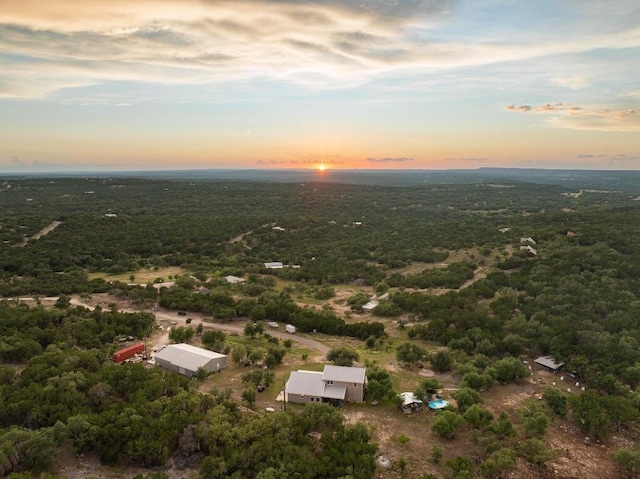 2025 Cripple Creek Stage Rd, Dripping Springs, TX 78620 - aerial view at dusk of a view of trees