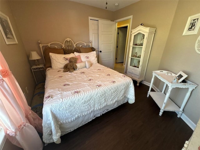 746 Pecan Ln, Cottonwood Shores, TX 78657 - bedroom with wood finished floors and a closet
