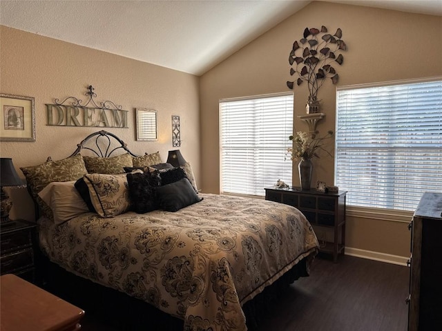 746 Pecan Ln, Cottonwood Shores, TX 78657 - bedroom with lofted ceiling, wood finished floors, and multiple windows