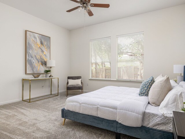 3804 Aqua Ln, Round Rock, TX 78681 - photo 17