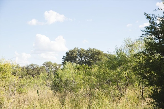 LOT2 Crk 330, Burnet, TX 78611