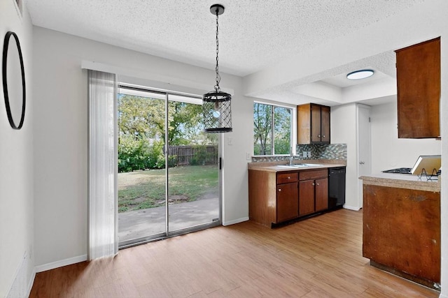 1104 Speer Ln, Austin, TX 78745 - photo 9