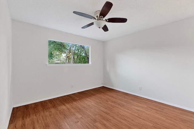 1104 Speer Ln, Austin, TX 78745 - photo 12