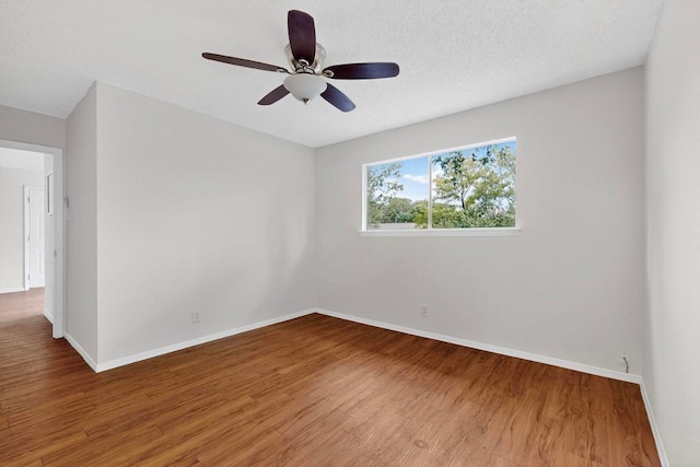 1104 Speer Ln, Austin, TX 78745 - photo 13