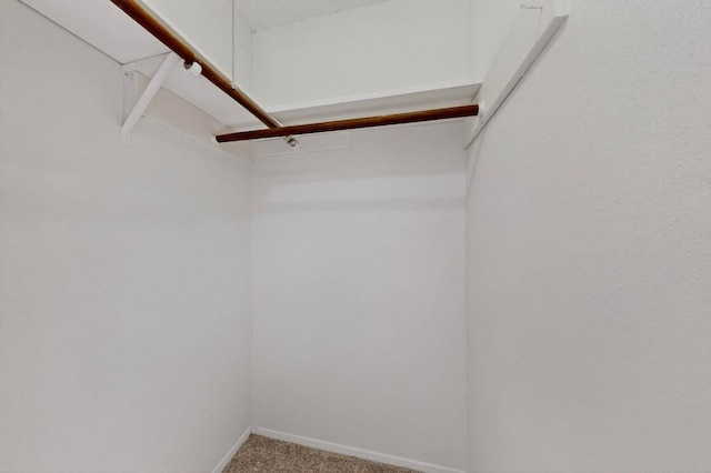 1104 Speer Ln, Austin, TX 78745 - photo 33