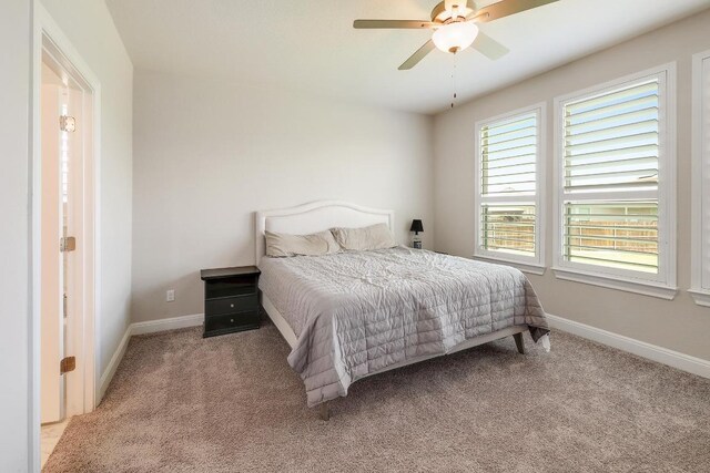 529 Compania Cv, Liberty Hill, TX 78642 - photo 11