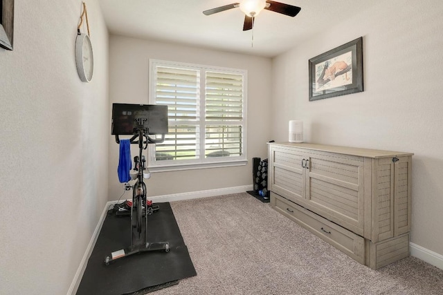 529 Compania Cv, Liberty Hill, TX 78642 - photo 17