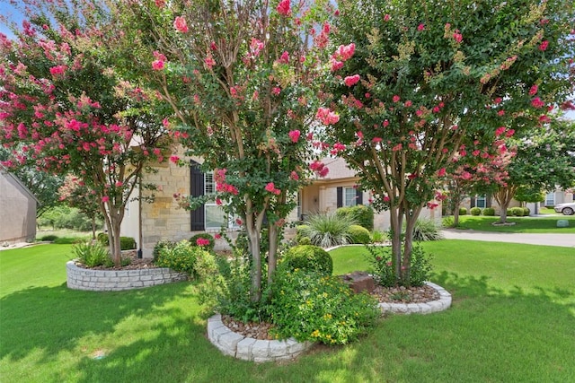 107 Summer Ridge Ln, Georgetown, TX 78633 - photo 4