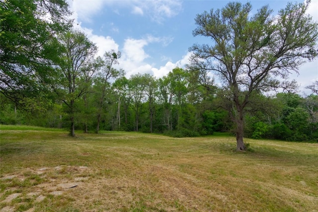 2874 Fm 1704, Elgin, TX 78621 - view of green lawn with a view of trees