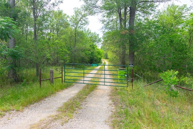 2874 Fm 1704, Elgin, TX 78621 - view of gate