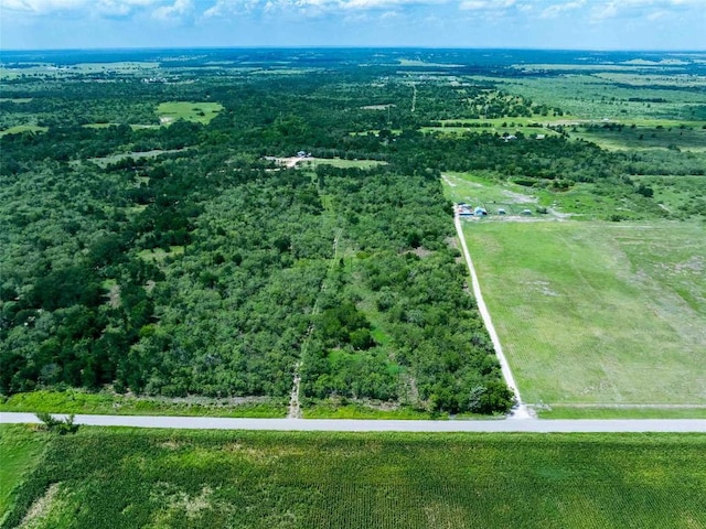 17509 Albert Voelker Rd, Elgin, TX 78621 - photo 3