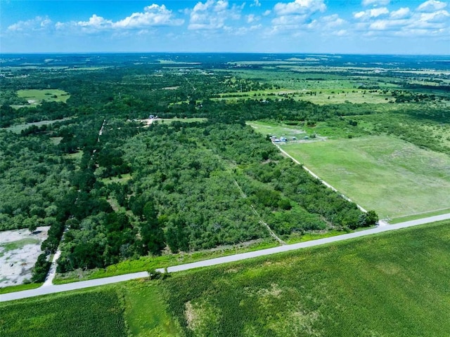 17509 Albert Voelker Rd, Elgin, TX 78621 - photo 4