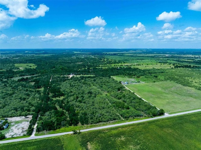 17509 Albert Voelker Rd, Elgin, TX 78621 - photo 5