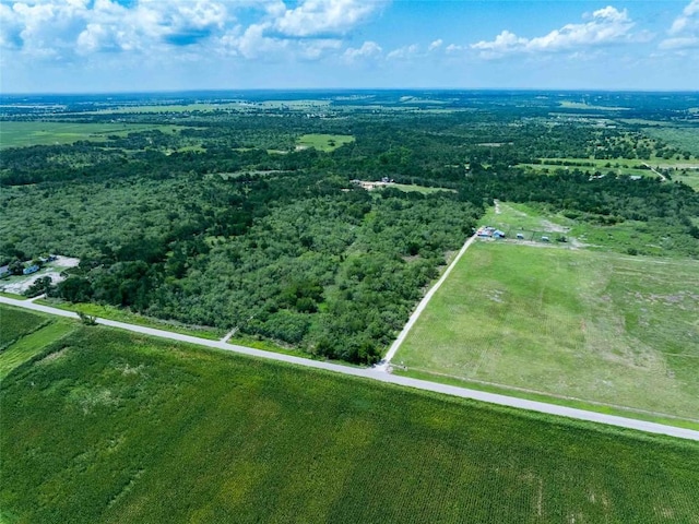 17509 Albert Voelker Rd, Elgin, TX 78621 - photo 6