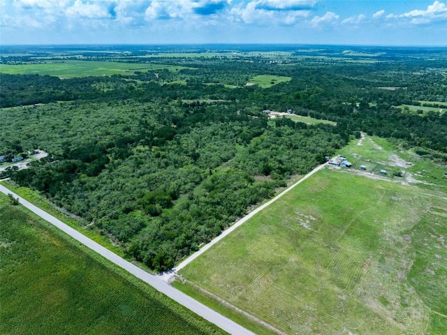 17509 Albert Voelker Rd, Elgin, TX 78621 - photo 7