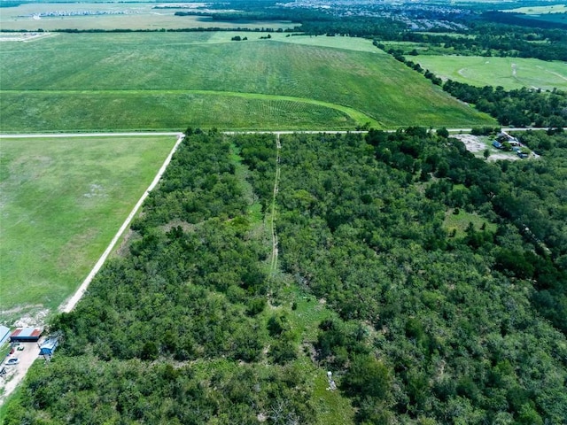 17509 Albert Voelker Rd, Elgin, TX 78621 - photo 9