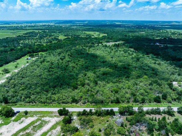 17715 Albert Voelker Rd, Elgin, TX 78621 - photo 3