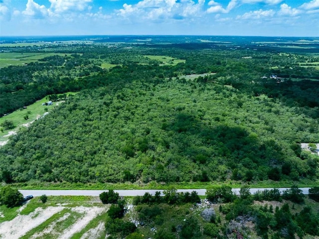 17715 Albert Voelker Rd, Elgin, TX 78621 - photo 4