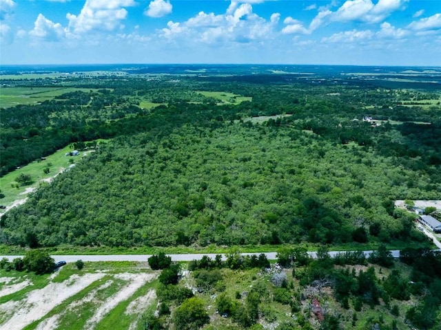 17715 Albert Voelker Rd, Elgin, TX 78621 - photo 5