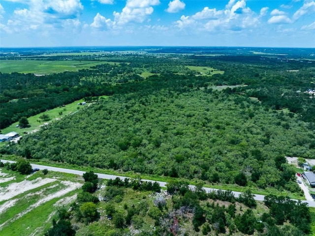 17715 Albert Voelker Rd, Elgin, TX 78621 - photo 6