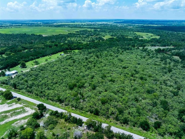 17715 Albert Voelker Rd, Elgin, TX 78621 - photo 7