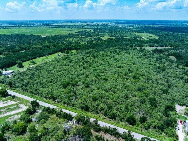 17715 Albert Voelker Rd, Elgin, TX 78621 - photo 8