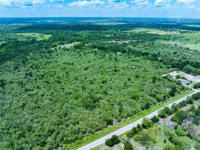 17715 Albert Voelker Rd, Elgin, TX 78621 - photo 9