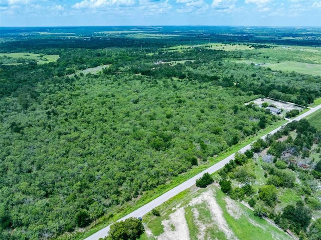 17715 Albert Voelker Rd, Elgin, TX 78621 - photo 10
