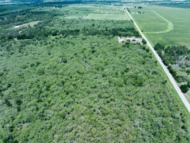 17715 Albert Voelker Rd, Elgin, TX 78621 - photo 11