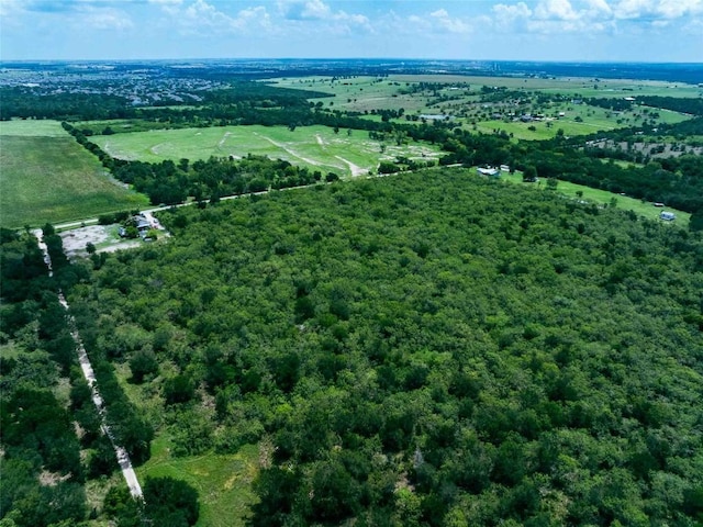 17715 Albert Voelker Rd, Elgin, TX 78621 - photo 16
