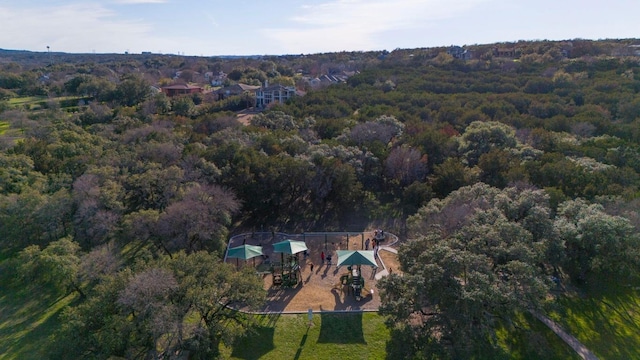 501 Flamingo Blvd, Lakeway, TX 78734 - photo 30